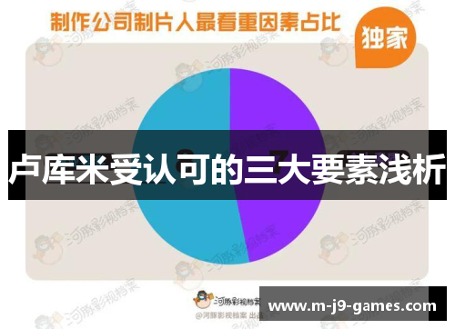 卢库米受认可的三大要素浅析