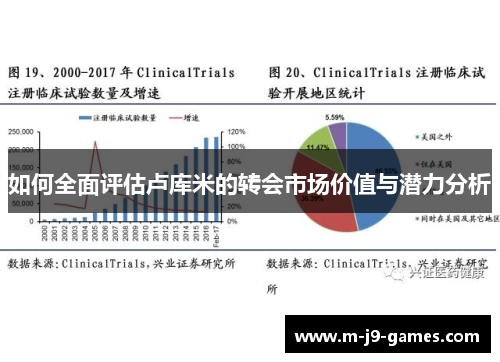 如何全面评估卢库米的转会市场价值与潜力分析