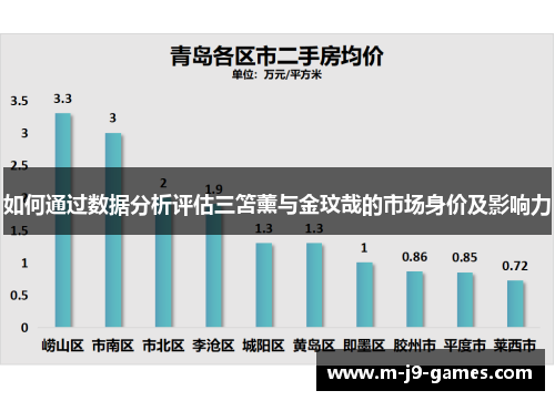 如何通过数据分析评估三笘薰与金玟哉的市场身价及影响力