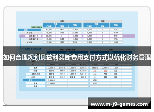 如何合理规划贝兹利买断费用支付方式以优化财务管理