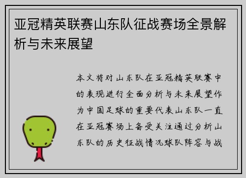 亚冠精英联赛山东队征战赛场全景解析与未来展望